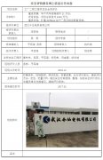 武汉今仙电机有限公司安全预评价