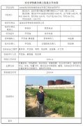 宜城华昕特炭科技有限公司安全预评价